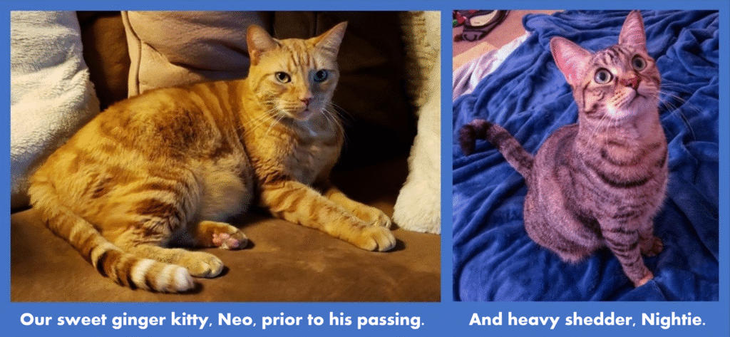 disposable fiberglass filters