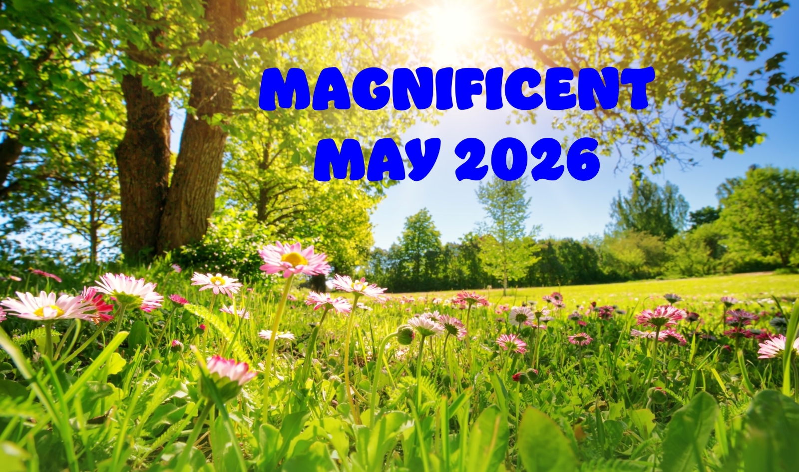 ‘Ask Ed’ Newsletter – May 2026